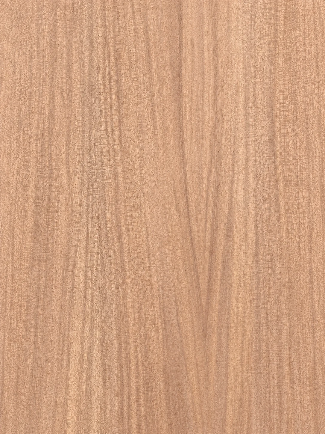Mahogany Wood grain sample