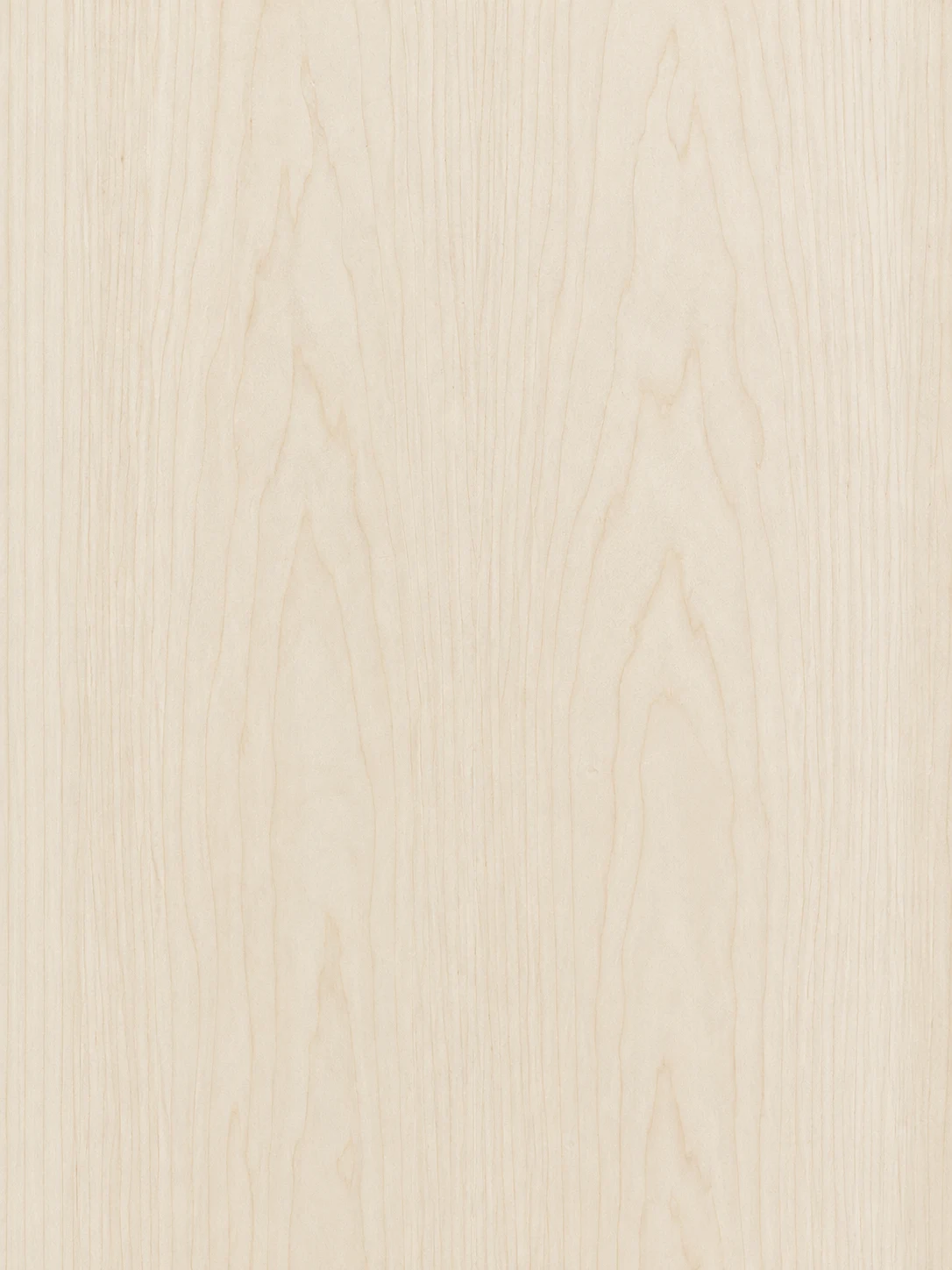 Maple Wood grain sample