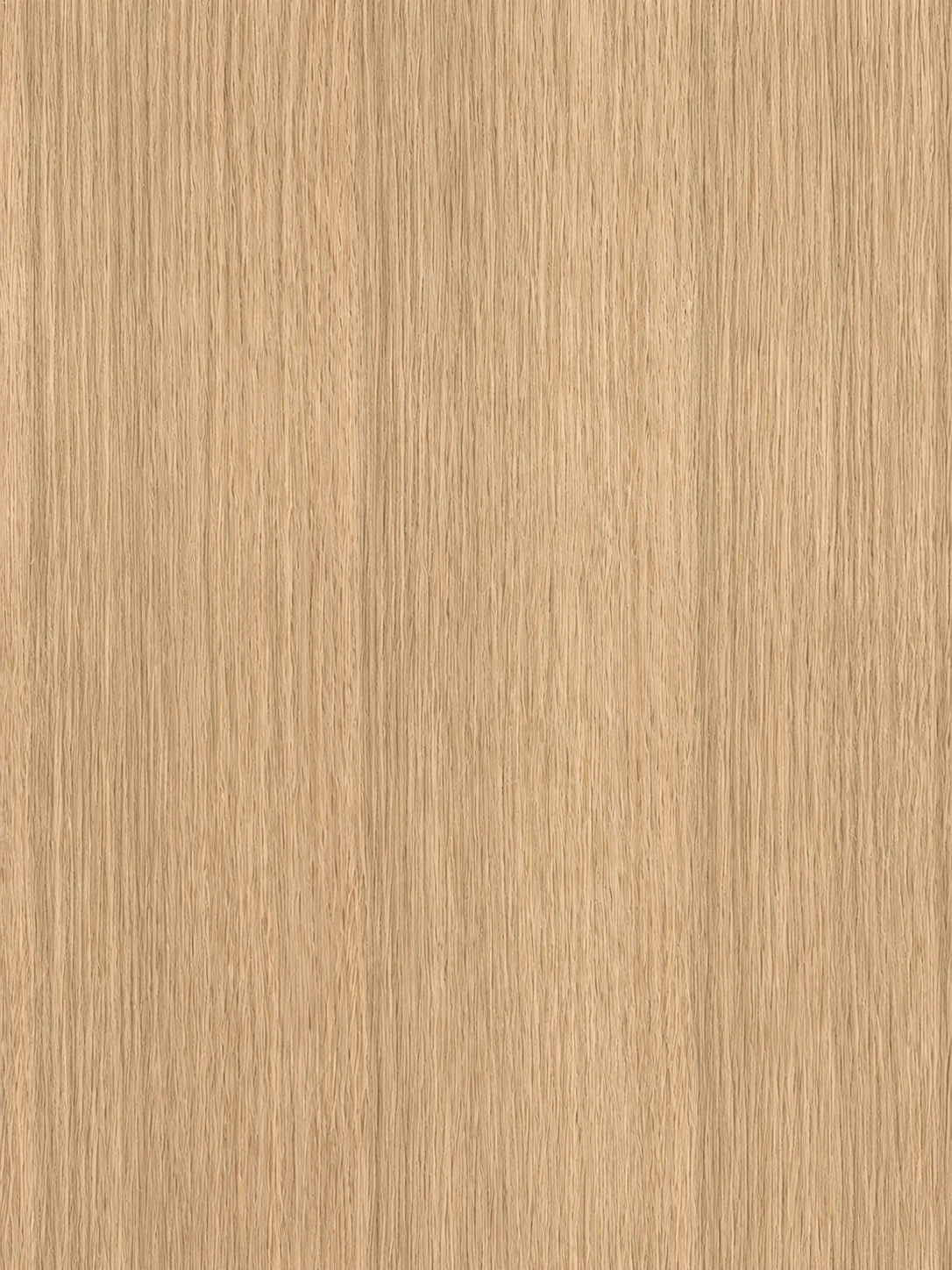 Oak Wood grain sample