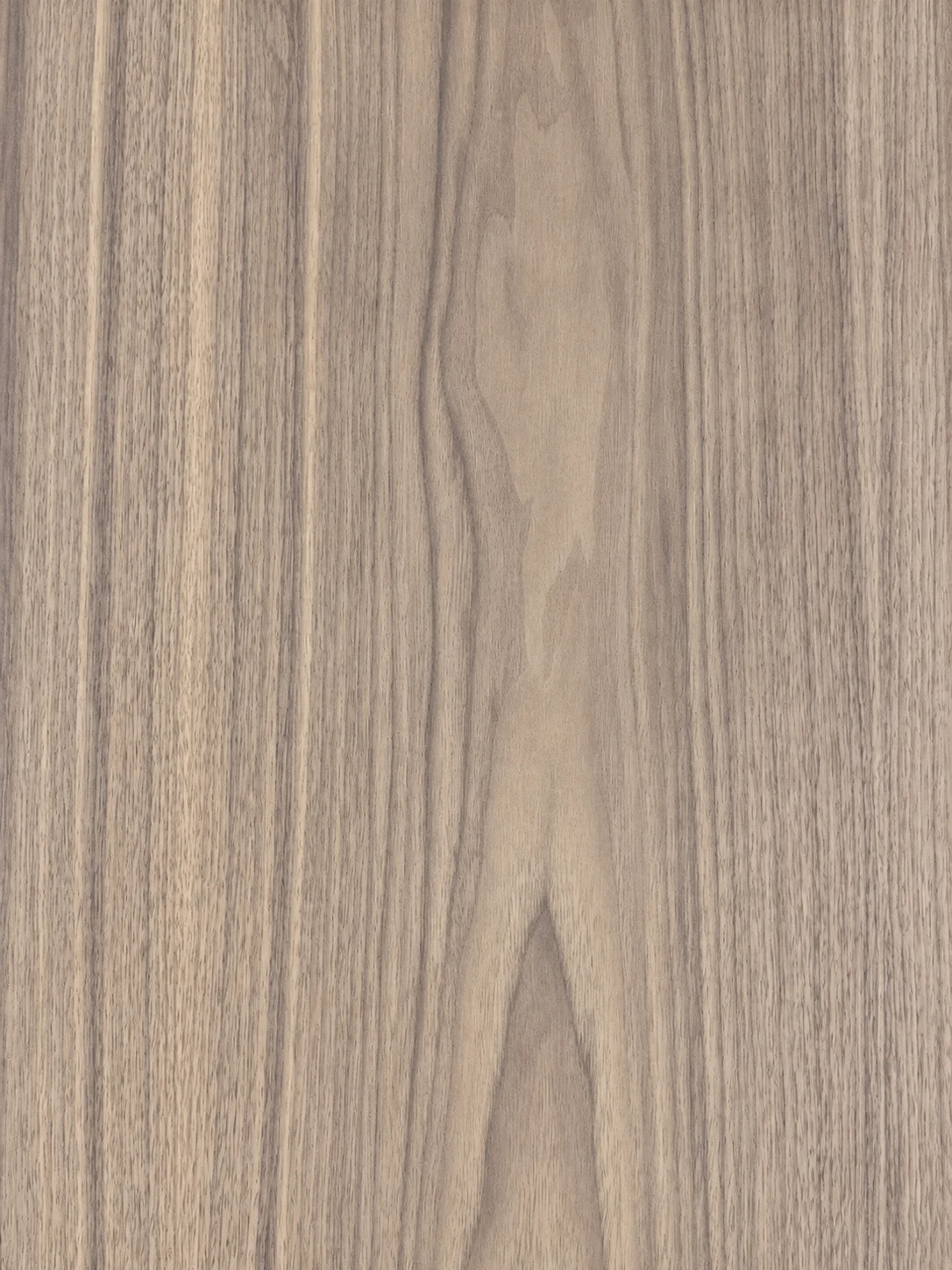 Walnut Wood grain sample